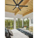 es6 60 inch Black Indoor/Outdoor Ceiling Fan